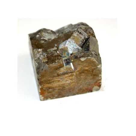 Mineral Pirita Cubica 1 unidad