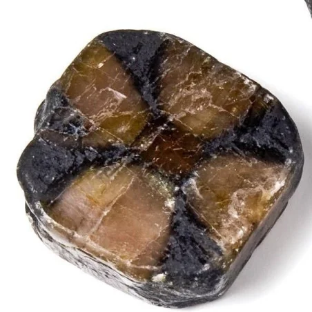 Mineral Quiastiolita 30x3.5mm (Mineral de la Cruz)(P3)