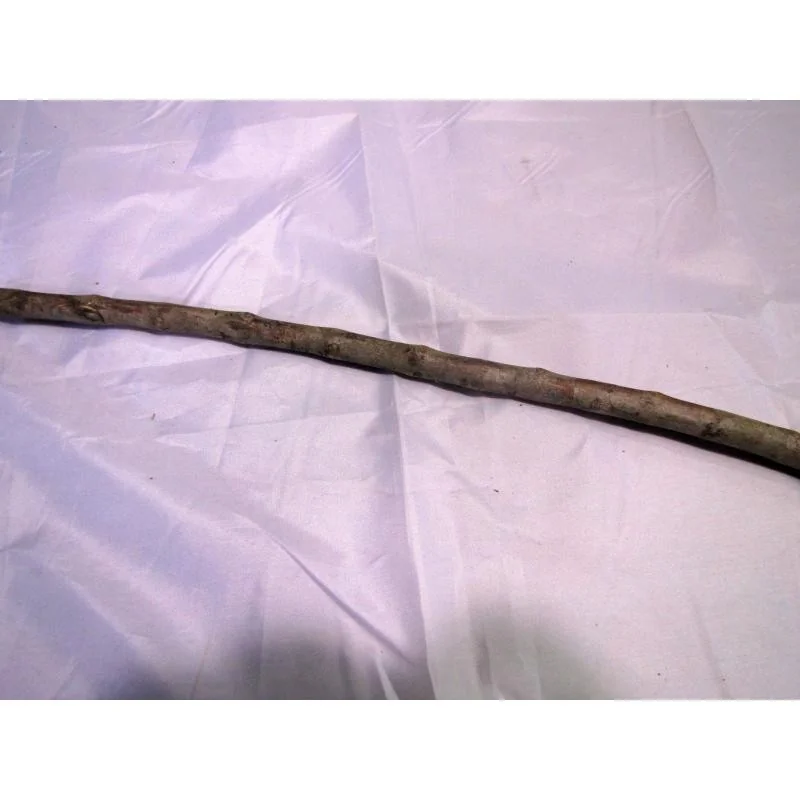 Palo Guayaba Tienda Esotérica Changó