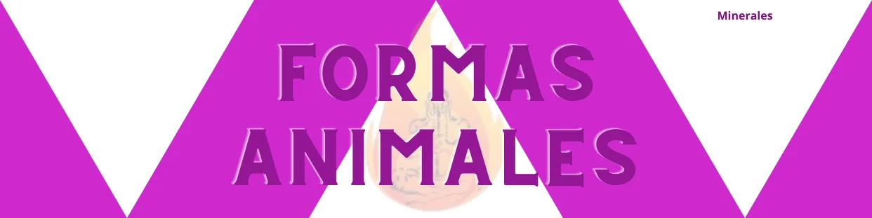 Formas Animales